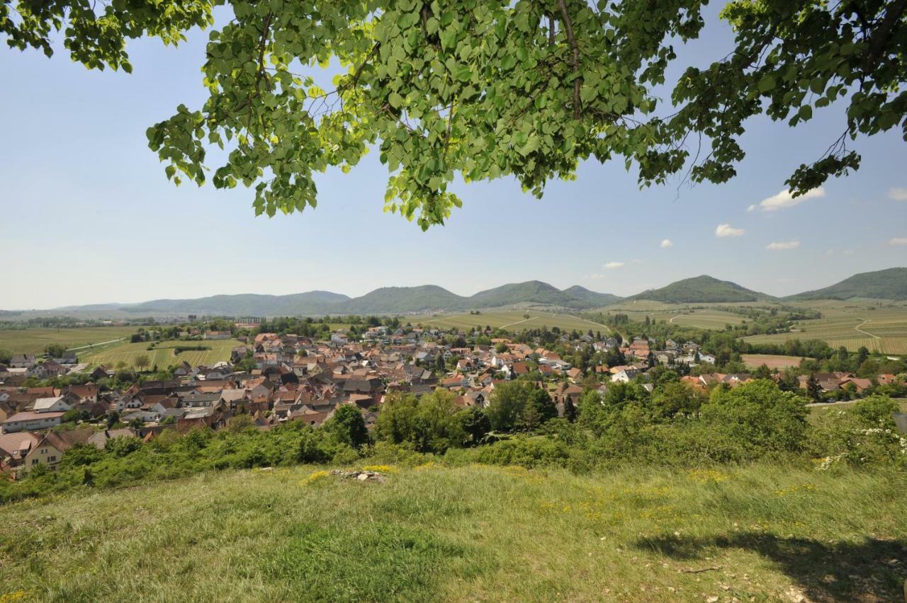 Wein-Domizil Brennofen Hotel Ilbesheim bei Landau in der Pfalz Exterior photo